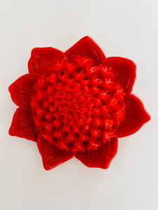 Waratah Brooch