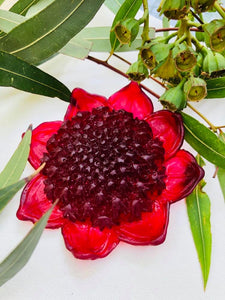 Waratah Brooch